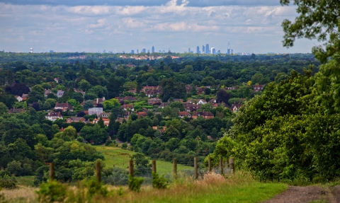 Norbury Park View