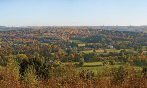 View from Norbury Park