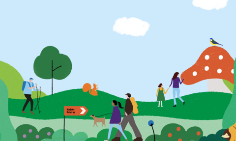 Big Wild Walk 2021 - Web banner