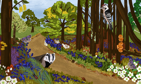 Woodland illustration