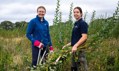 Volunteers removing willow from a grassland site