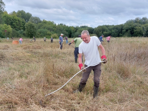 27 went to mow a meadow, went to mow a meadow ... at Unstead wetland ...