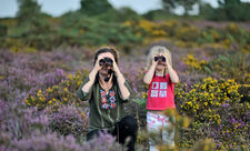 A family birdwatching on heathland in summer