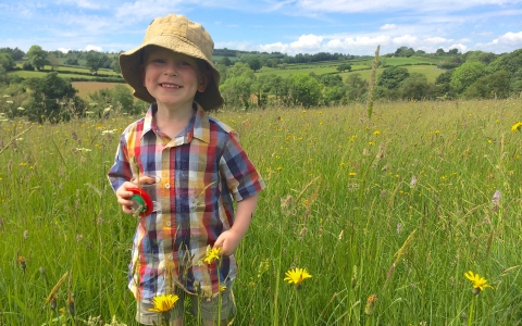 Bryn playing in a meadow