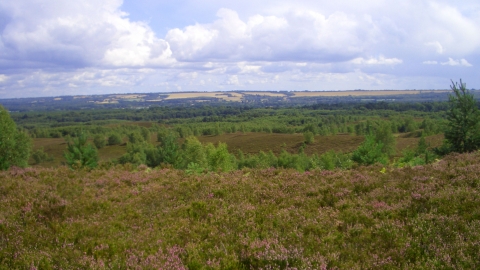 Ash Ranges