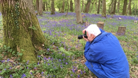Man taking photo of bluebells on photography course