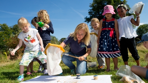 children sweeping in summer meadow