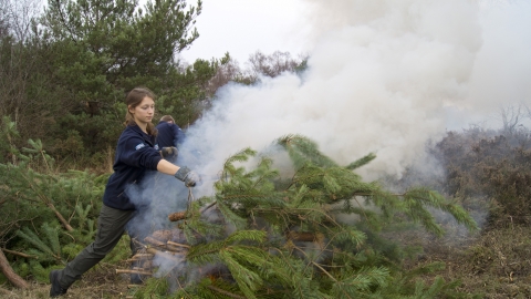 Volunteerconservation trainee burning pine
