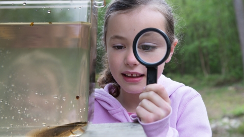 Child examining newt with magnifying glass