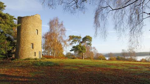Chinthurst Hill