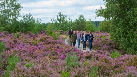 guided walk on heathland