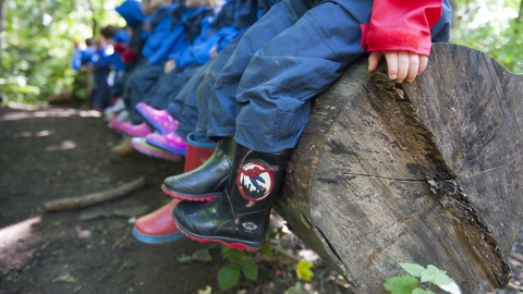 Children at Forest School session in woodland
