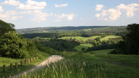 Newlands Corner