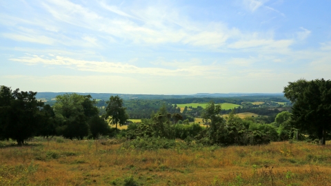 West Hanger view