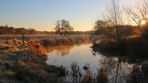 Thundry Meadows