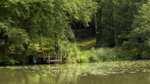 Vann Lake