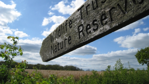 Sign post