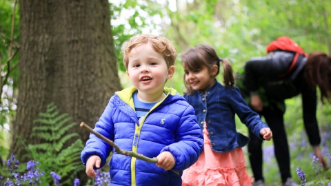 Children exploring wood in spring