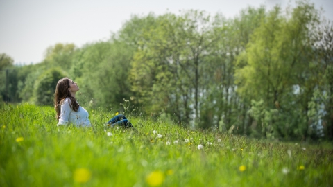 lady relaxing in field