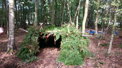 shelter