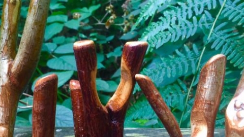 walking stick tops
