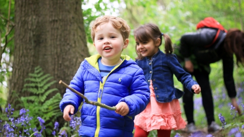 Children exploring bluebell woods