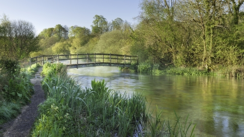 River habitat