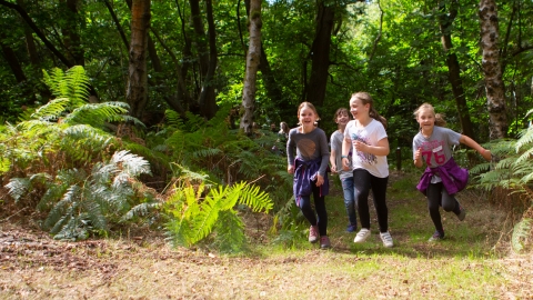 Children running in woods