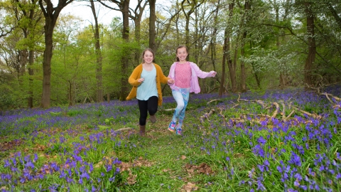 Children running in bluebells