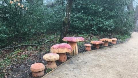 Mushroom wood carvings at Nower Wood