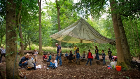 Forest Schools at Nower Wood