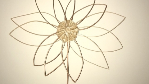 willow flower