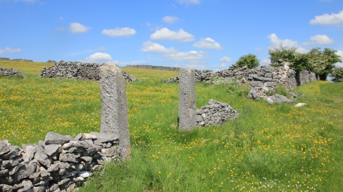 history of landscape