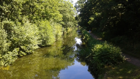 Basingstoke Canal