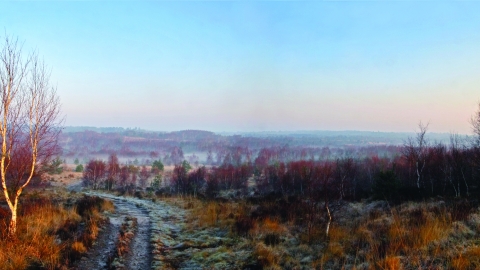 Chobham Common