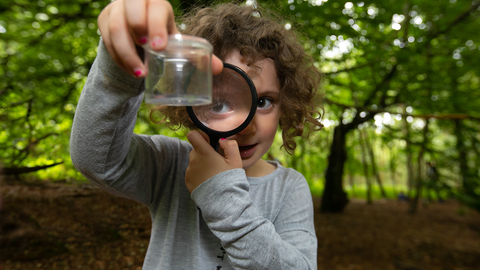 A girl is in the woodlands, looking through a magnifying glass at a minibeast in a pot