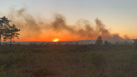 Wildfire Thursley Common