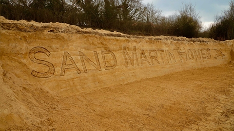 Sand martin nest bank at Spynes Mere Nature Reserve, Surrey