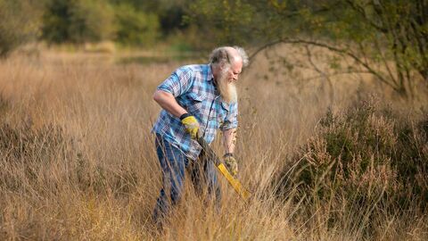Volunteers tree popping