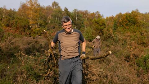 Volunteers clearing scrub