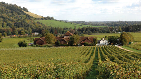 Denbies Wine Estate