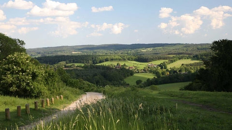 Newlands Corner