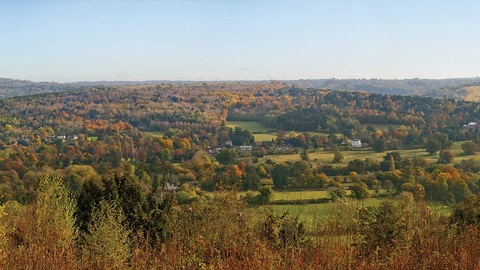 View from Norbury Park