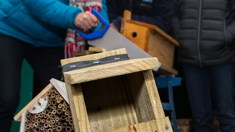 Bird box making course