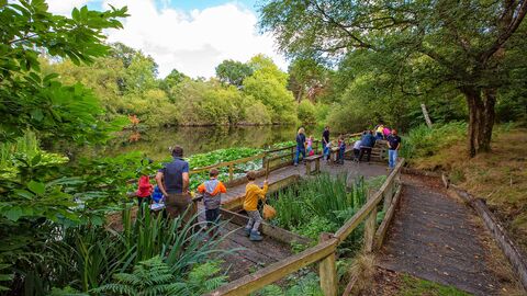 Pond dipping at Nower Wood children