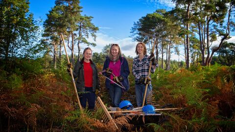 Practical volunteering - Main web page