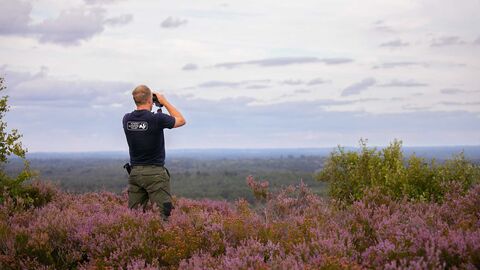 Surveying Ash Ranges