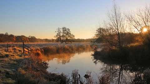 Thundry Meadows