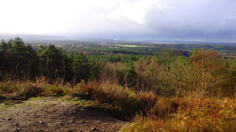 View from Crooksbury Hill