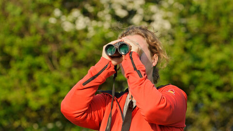 Bird watching